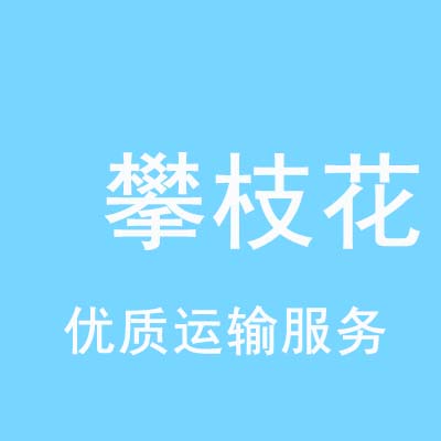 上海到攀枝花物流专线_上海至攀枝花物流公司