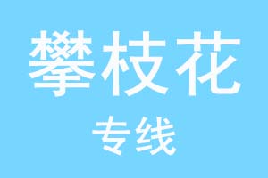 重庆到攀枝花物流公司